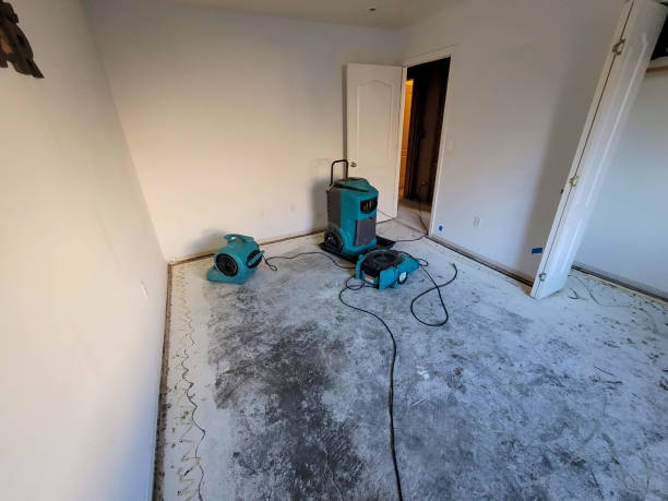 Best Water damage restoration company  in Oakland City, IN