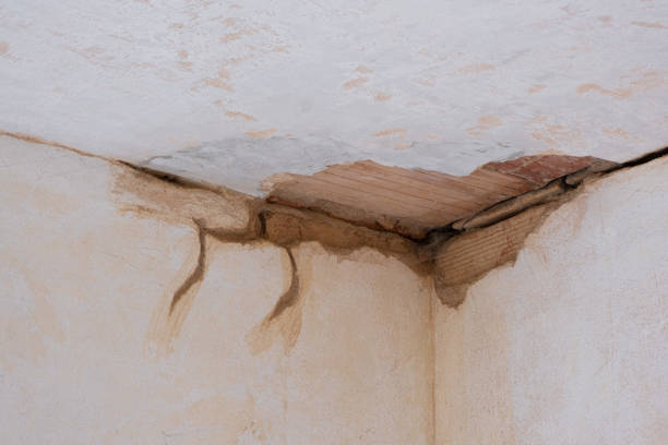Best Flood damage cleanup  in Oakland City, IN
