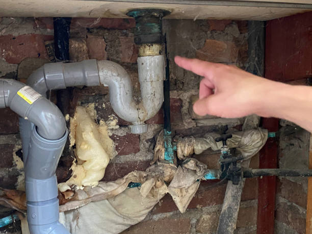 Best Water damage cleanup near me  in Oakland City, IN